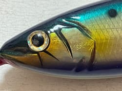 Ketoinumaru Takeodaimaimaru 21F-MG Carpenter, used, fishing gear - Thumbnail 7