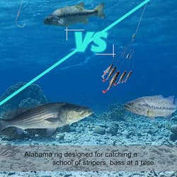 Alabama Rig Kit 5 Arms Alabama Umbrella Rig Bass Fishing Kit a Rig Fishing Lu... - Thumbnail 6