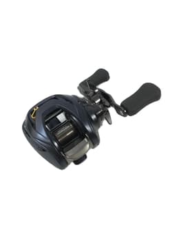DAIWA STEEZ AII TW1000H RightHandle Baitcasting Reel Japan Made High-End Fishing - Thumbnail 1