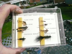 10 ORVIS FLY LURES ,8 EARLY SEASON NYMPHS IN CASE,WOOLY BUGGER,+SILVER SHINER - Thumbnail 2