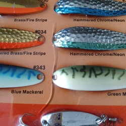 Luar Crocodile Display Frame - Thumbnail 5