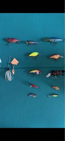 Megabass Raid Japan 77-PC Hard Lure & Spinnerbait Set New - Thumbnail 7