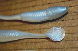 3.5" Swim Minnow Alewife Paddle Tail Swimbait Trailer for A Rig 50 pk bulk bag - Thumbnail 4
