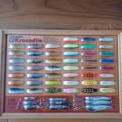 Luar Crocodile Display Frame - Thumbnail 1