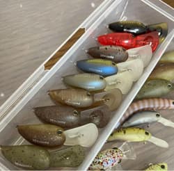 Many original colors20 TIMON plugs, TIMON Panikura Cafe Coke - Thumbnail 2