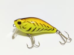 Gary Yamamoto / Sugoi C Knuckle 【Set of 2】 - Thumbnail 3