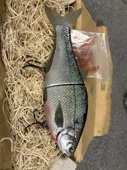 Hinkle Shad Swimbait - Thumbnail 2