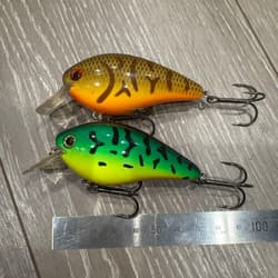 Strike King KVD Square Bill Cbait - Thumbnail 2