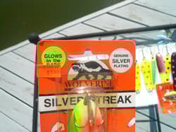 LOT OF 22 SALMON SPOONS AROUND 4" ,ONE RED WHITE & BLUE USA SPOON 3 GLOW IN DARK - Thumbnail 2