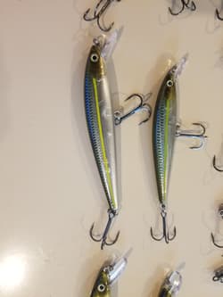 Jerkbait Bundle - Awesome Pack of Strike King KVD Jerkbaits - Great Colors! - Thumbnail 3