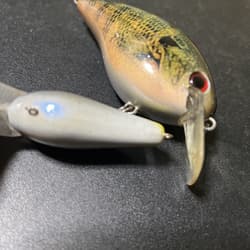 Strike King KVD 8.0 KVD 1.5 Set - Thumbnail 4