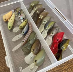 Many original colors20 TIMON plugs, TIMON Panikura Cafe Coke - Thumbnail 1