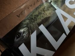 DRT KLASH9 Low Bait Swimbait DRT BASS Ver.2 Freshwater Saltwater Fishing - Thumbnail 3