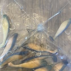 Umbrella Rig 4 Arm 11” With 6” Shad (9)  Pearl Blue 8/0 Hook Mustad New In Pkg - Thumbnail 4