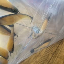 9” Umbrella Rig 4 Arm 11” With 6” Shad (9)  Pearl Black 8/0 Hook Mustad New Pkg - Thumbnail 18