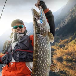 fishing accessories Life-like Dragonfly Fishing Lures Fishing - Thumbnail 3