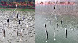 High-Quality Umbrella Rig - 20cm Bass Lure with 5 Baits & Jig Heads Included! - Thumbnail 7