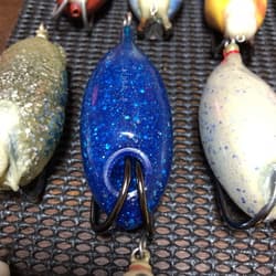 Snakehead frog - Thumbnail 5