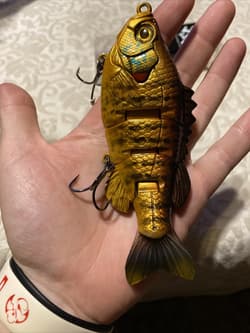 3:16 Lure Company 5” Freestyle Bluegill Swimbait-Floating BaitWorks Custom Color - Thumbnail 6
