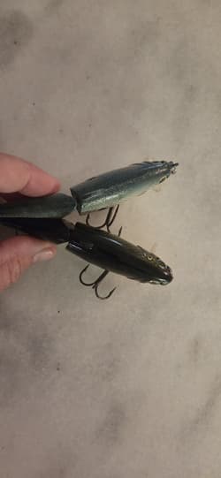 Lot Of (2) Strike King Wake Shad King Shad 4" Swim Bait Wake Bait Jointed Bass - Thumbnail 5