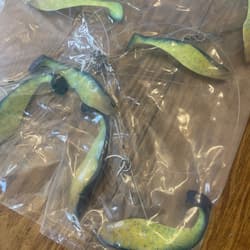 Umbrella Rig 4 Arm 11” With 6” Shad (9)  Chartr. Blue 8/0 Hook Mustad New In Pkg - Thumbnail 22