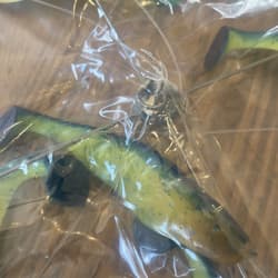 Umbrella Rig 4 Arm 11” With 6” Shad (9)  Chartr. Blue 8/0 Hook Mustad New In Pkg - Thumbnail 20