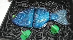 MONSTER GILL set - Thumbnail 3