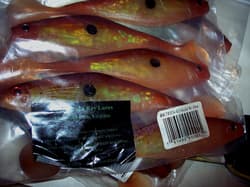 Chesapeake Bay Lure Red Eye Shad 7" Baitfish Umbrella Rig Striper Muskie Pike . - Thumbnail 7