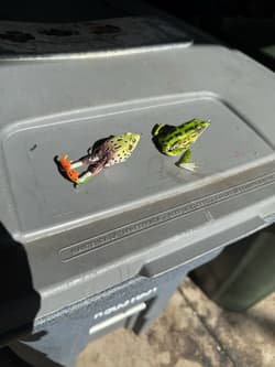 Googan Squad, River2Sea & Strike King Fishing Lure FOR BASS Box Lot (25+ baits) - Thumbnail 14