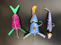 Frog s Eva 3-piece set, Gandini, Skimmer, Sasori - Thumbnail 5