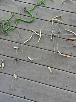 9 Umbrella Rig Trolling Lure Lot Striped Bass Fishing + Replacement Tubes - Thumbnail 3