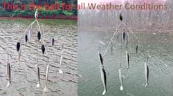 Fully Rigged 5 Arms 8 Bladed Umbrella Rig Bass Lure W/Swim Baits and Jig Heads  - Thumbnail 6