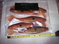 Chesapeake Bay Lure Red Eye Shad 7" Baitfish Umbrella Rig Striper Muskie Pike . - Thumbnail 4