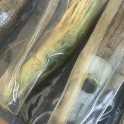 Saltwater Big Game Offshore Marlin, Maui, Wahoo, Dorado,Tuna Lures and Case - Thumbnail 8