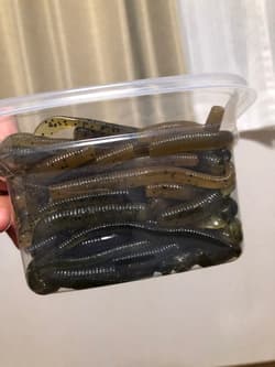 Gary Yamamoto Worm SetFat Ika, Yamasenko, Pro Senko - Thumbnail 6