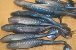 5" Swim Minnow Pro Blue Red Pearl Paddle Tail Swimbait Trailer for A Rig 50 pack - Thumbnail 4