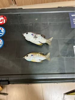 Fishing Lure Top lures sold in bulk bass pond rare buzzbait etc. - Thumbnail 6