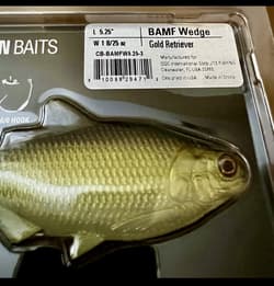 1-2 pk 13 Fishing Coalition Bait Co BAMF Wedge Swimbait Lures GOLDEN RETRIEVER - Thumbnail 5