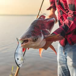 Taruor 7In Glider Fishing Lures Glide Bait Jointed Swimbait W/ Treble Hooks V2D2 - Thumbnail 11