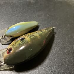 Strike King KVD 8.0 KVD 1.5 Set - Thumbnail 5