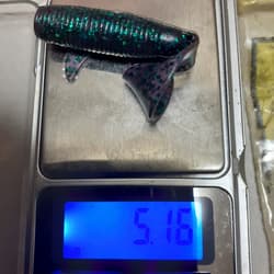 Gary Yamamoto Worm Set Single Tail Grub - Thumbnail 6