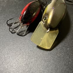 Strike King KVD 8.0 KVD 2.5 Set - Thumbnail 5