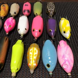 Snakehead frog - Thumbnail 3