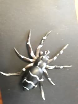 fishing soft plastics spider - Thumbnail 1