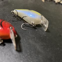 Strike King KVD 1.5 Set - Thumbnail 4