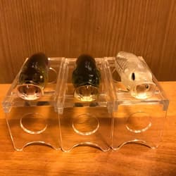 Megabass Popmax 6pcs Set Hard Lures Topwater Baits Fishing Accessories - Thumbnail 8