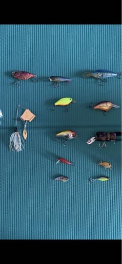 Other 77-Piece Set Lure Megabass Raid Japan Gary Depth - Thumbnail 7