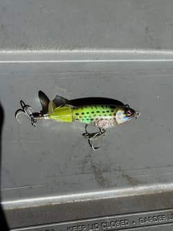 Googan Squad, River2Sea & Strike King Fishing Lure FOR BASS Box Lot (25+ baits) - Thumbnail 10