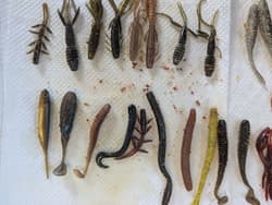 Evergreen C4 Shrimp, Antlion, Gary Yamamoto, Smallmouth Bass Lure Kits - Thumbnail 4