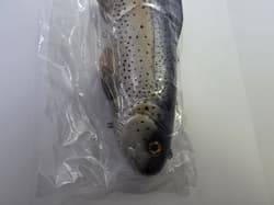 Working Class Zero RARE 11” Battles trout discontinued Swimbait By WCZ - Thumbnail 8